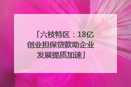 六枝特区：18亿创业担保贷款助企业发展提质加速